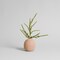Summer Green Spiny Amaranthus Spray Eco-friendly Artificial Stems by Bloomist